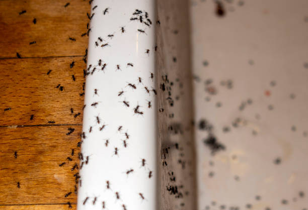 Simpsonville, KY Pest Control Company