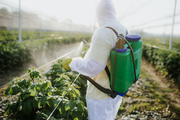 Best Cockroach Control Services  in Simpsonville, KY